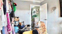 Clyde Close, Pontllanfraith, NP12