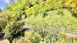 Upper Cwmbran, Cwmbran, NP44