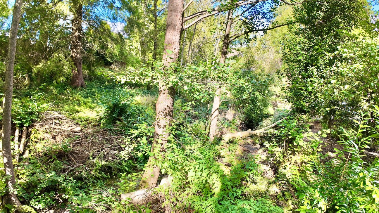 Tylacoch Place, Treorchy, CF42