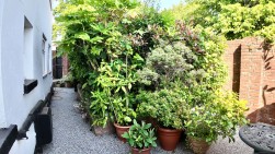 Blackwood Road, Pontllanfraith, NP12