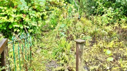 Manor Way, Abersychan, NP4