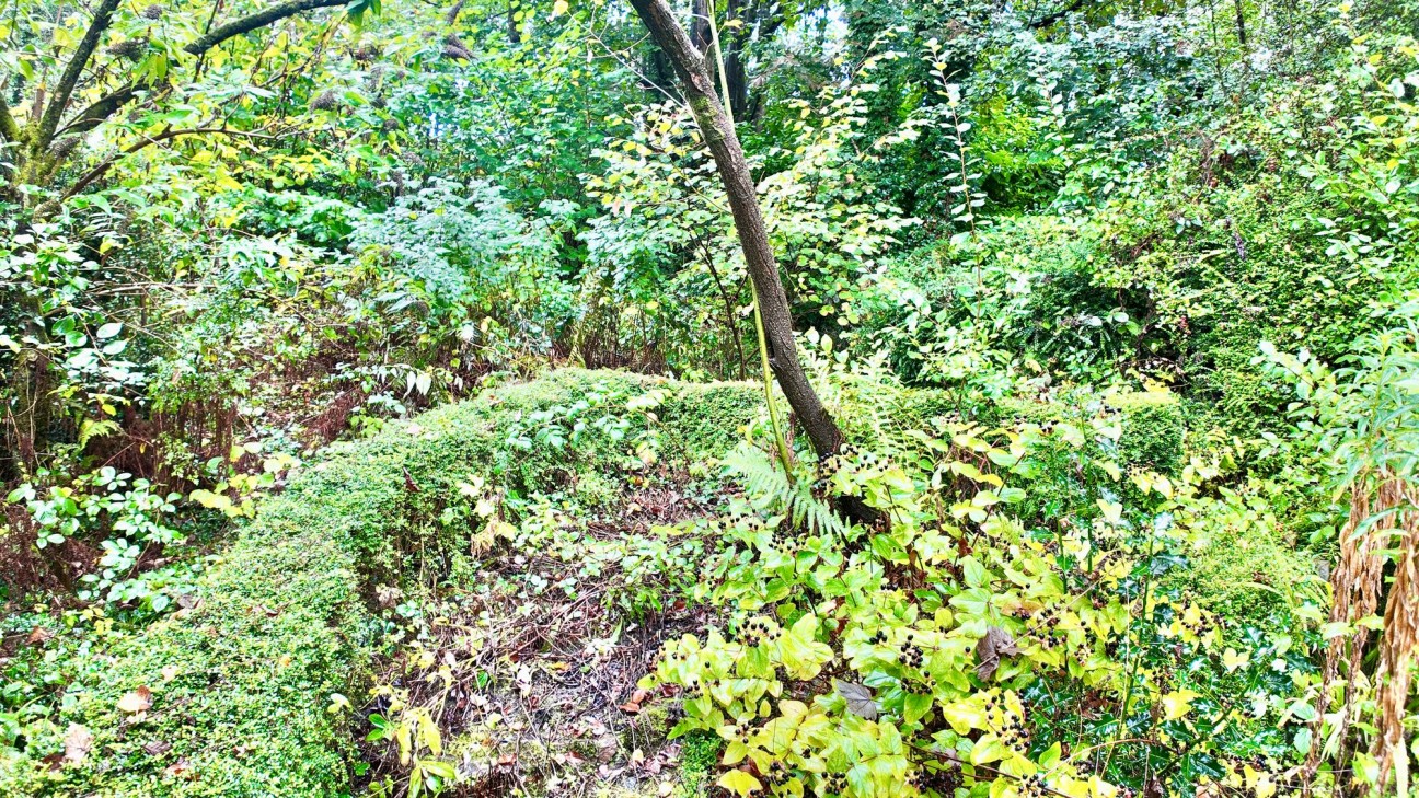 Manor Way, Abersychan, NP4