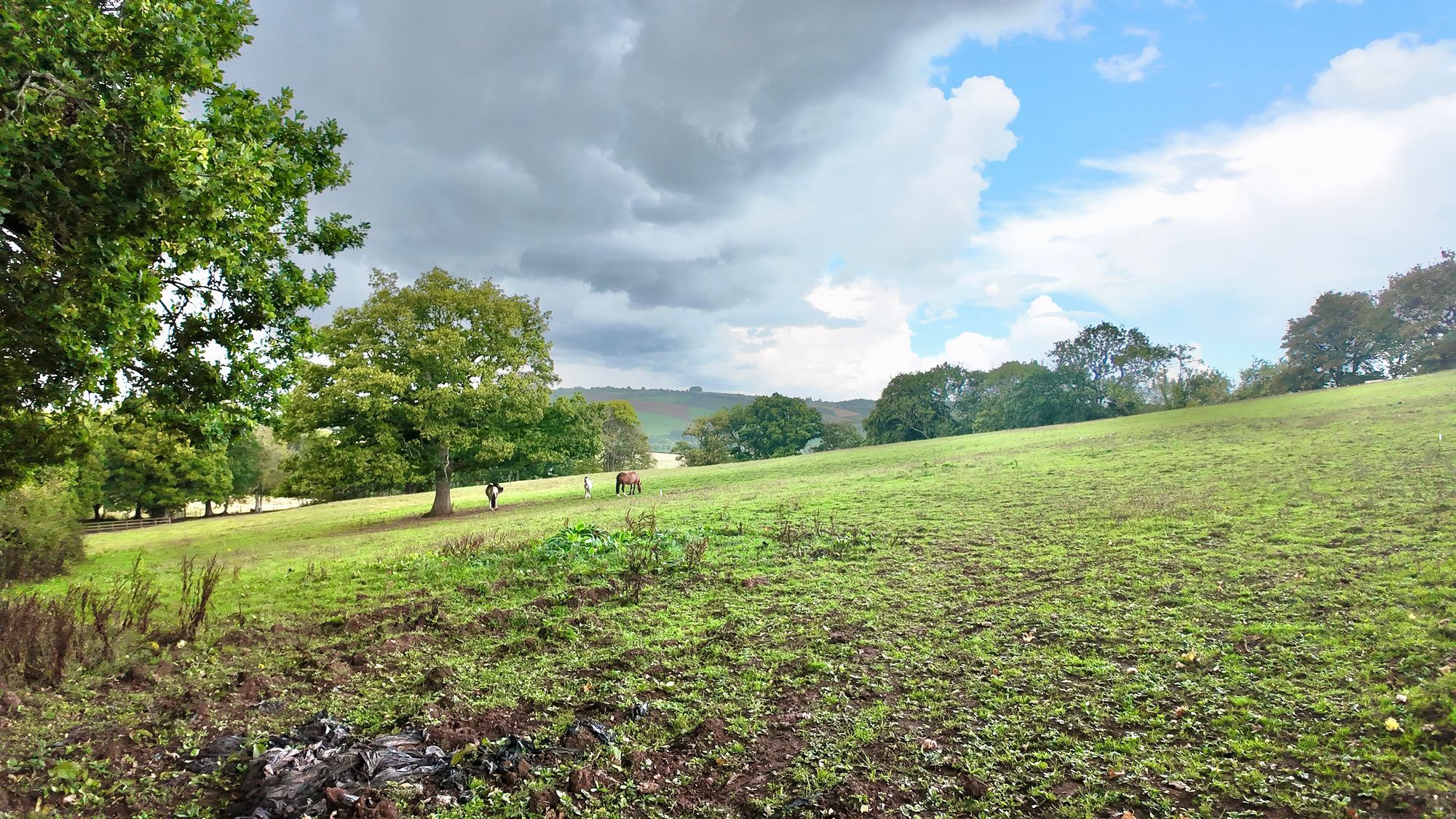 Cefn Llwyd, Ponthir, NP18