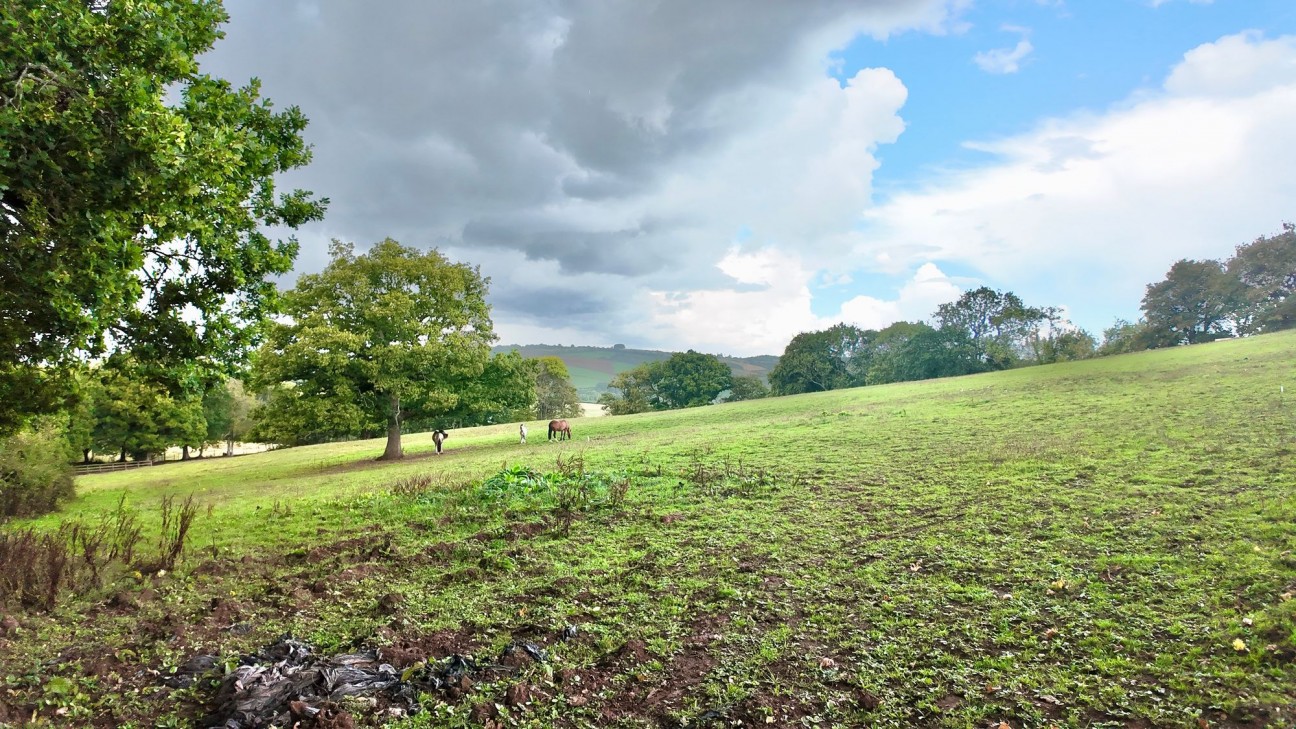 Cefn Llwyd, Ponthir, NP18