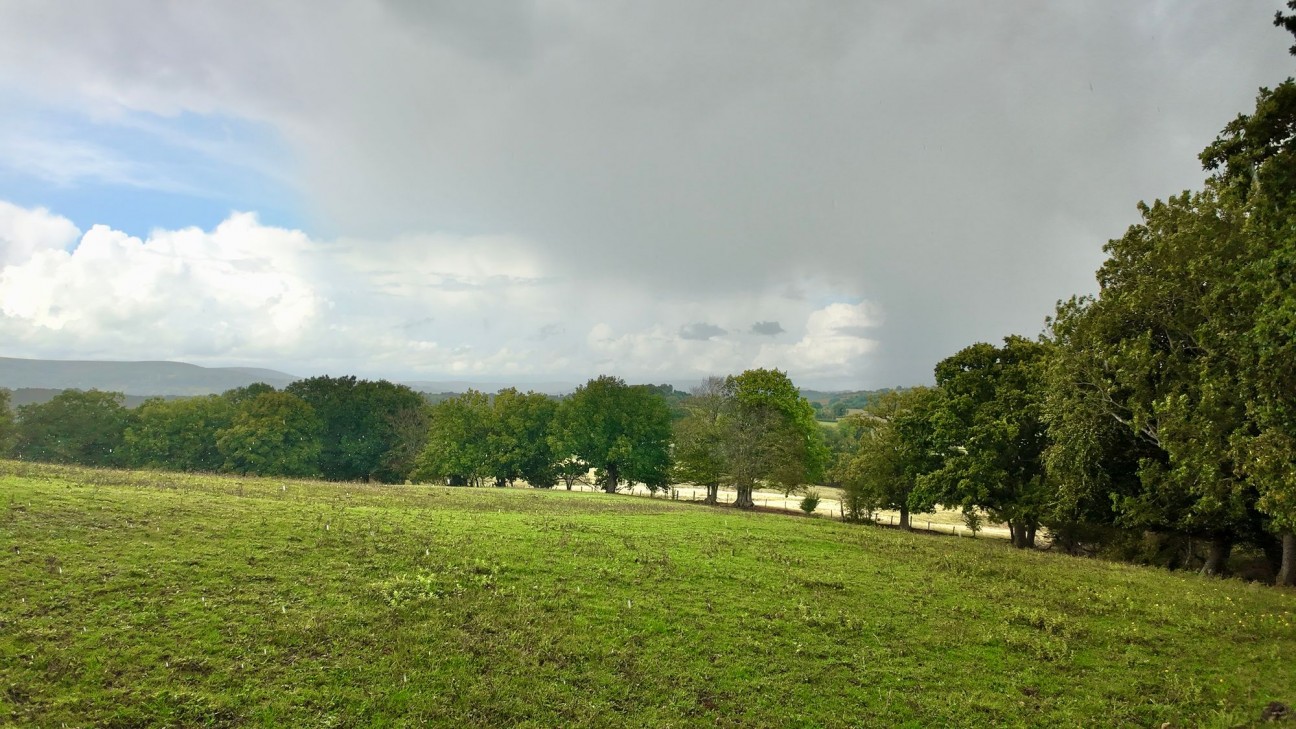 Cefn Llwyd, Ponthir, NP18