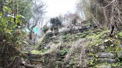 Woodland Terrace, New Tredegar, NP24