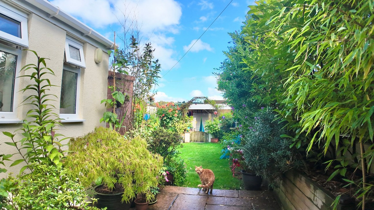 Pengam Street, Blackwood, NP12