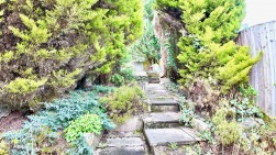 Bristol Terrace, Bargoed, CF81