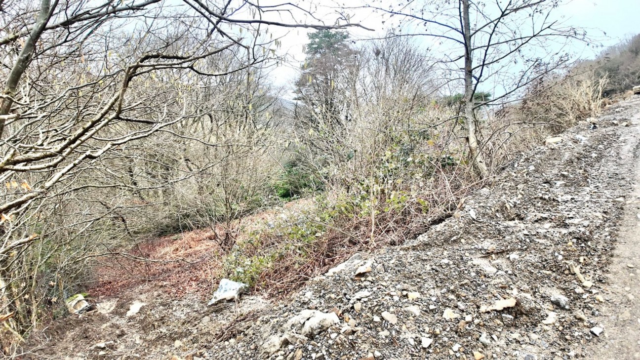 Golwg Y Mynydd, Gwastad Farm, NP13