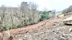 Golwg Y Mynydd, Gwastad Farm, NP13