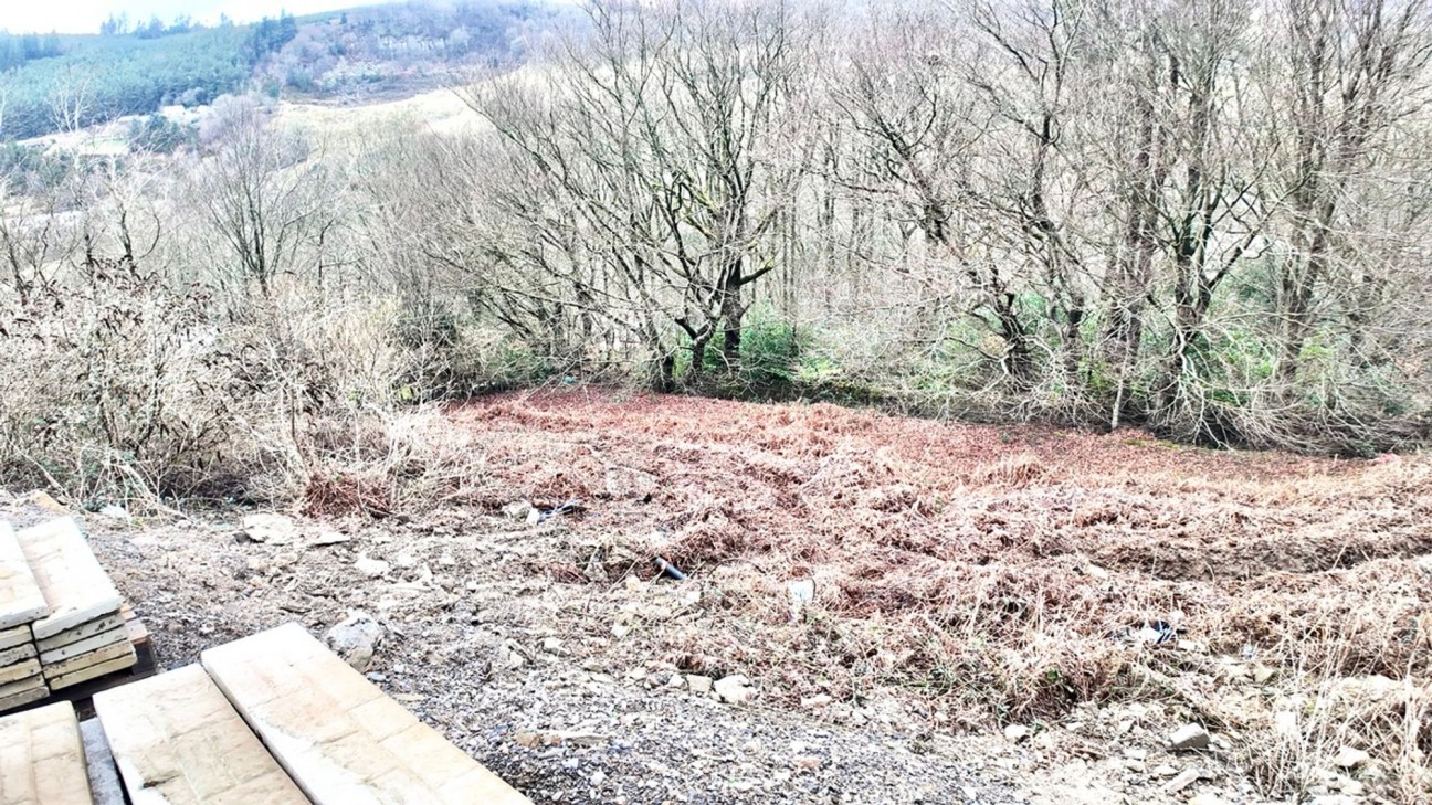 Golwg Y Mynydd, Gwastad Farm, NP13
