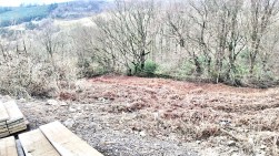 Golwg Y Mynydd, Gwastad Farm, NP13