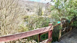 Bailey Street, Deri, CF81