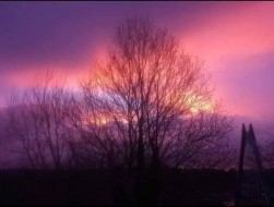 Christchurch Road, Penmaen, NP12