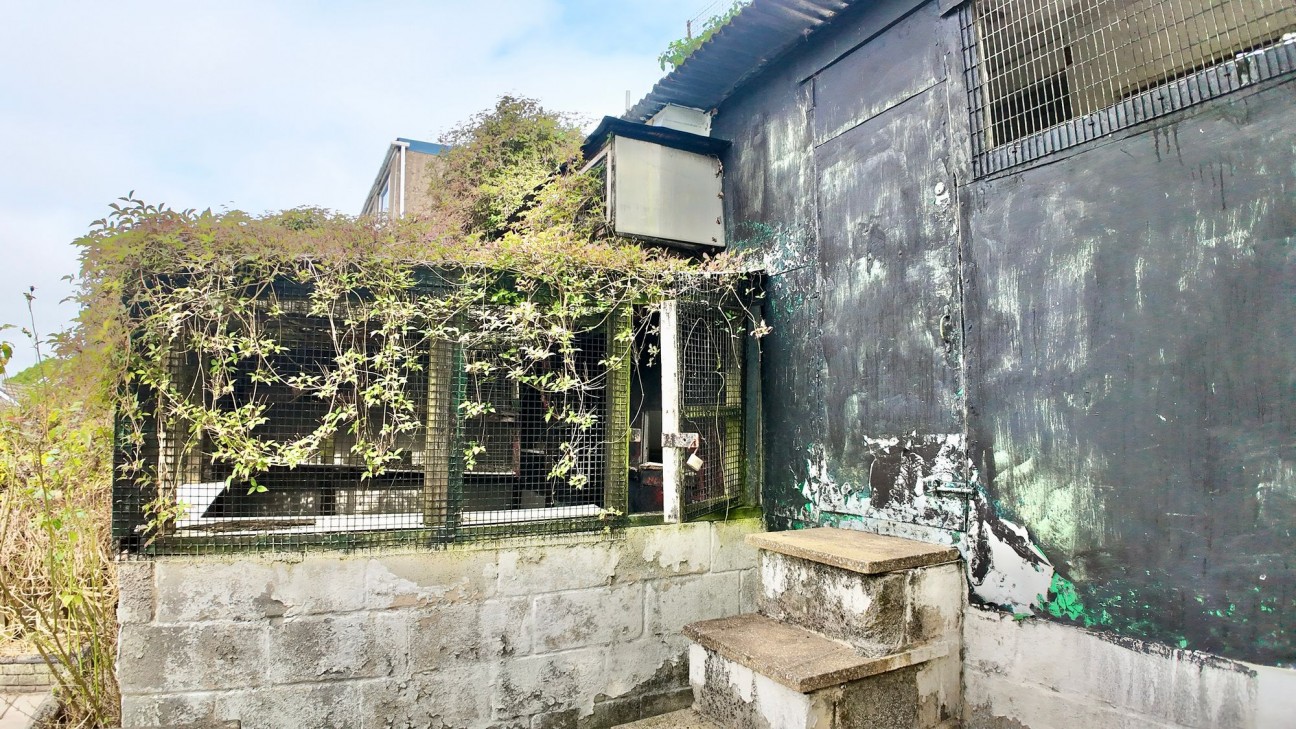 Fothergills Road, New Tredegar, NP24
