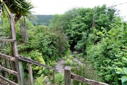 Beech Terrace, Cwmcarn, NP11
