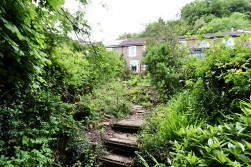 Beech Terrace, Cwmcarn, NP11