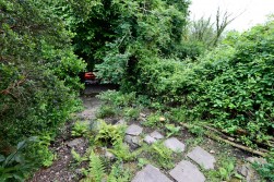 Beech Terrace, Cwmcarn, NP11