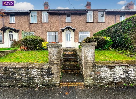 Penrhiw Terrace, Oakdale, NP12
