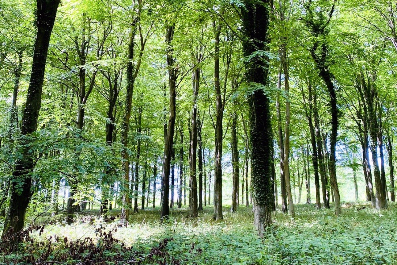 Hammerpot, Angmering, West Sussex