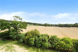 Hammerpot, Angmering, West Sussex