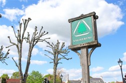 Angmering, West Sussex