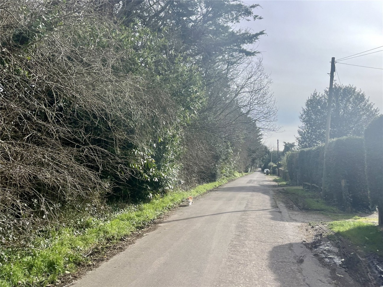 Fontwell, Arundel, West Sussex