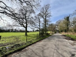 Fontwell, Arundel, West Sussex