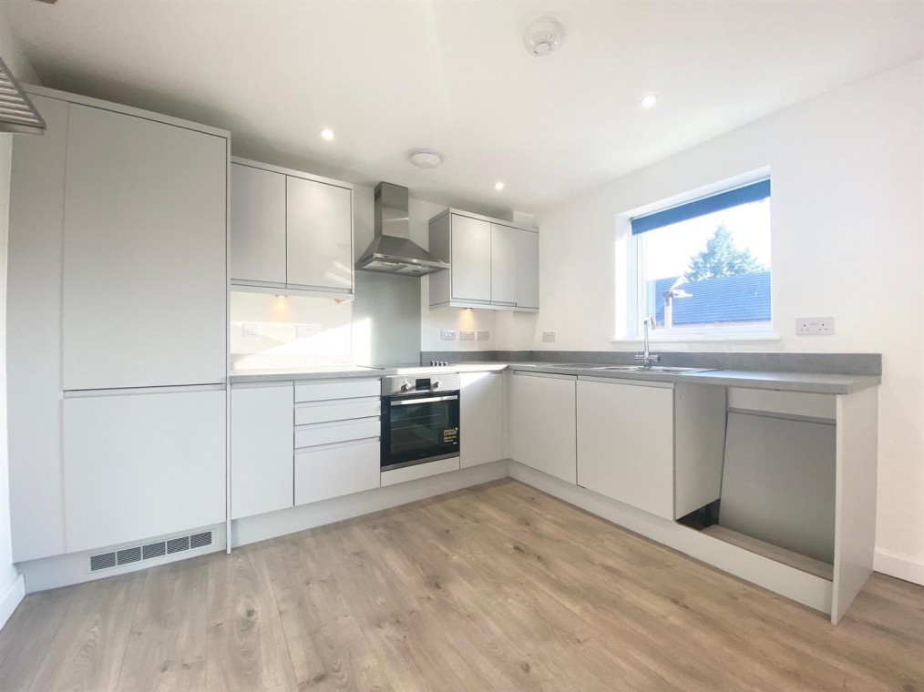 Ashton Rise, Bristol