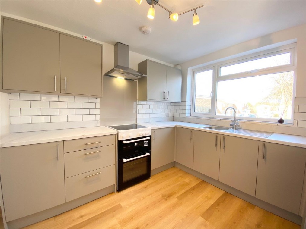 Paddock Garden, Bristol