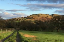 Howey, Llandrindod Wells, LD1 5RF