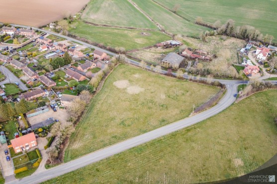 Pages Lane, Saham Toney