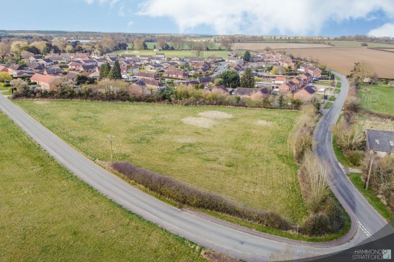 Pages Lane, Saham Toney