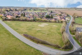 Pages Lane, Saham Toney