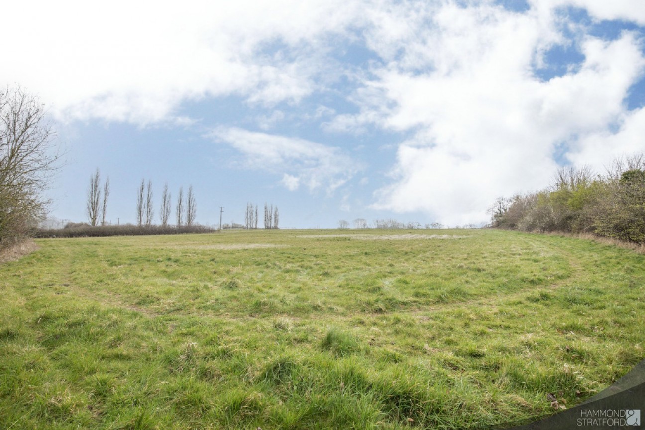 Pages Lane, Saham Toney