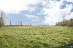 Pages Lane, Saham Toney
