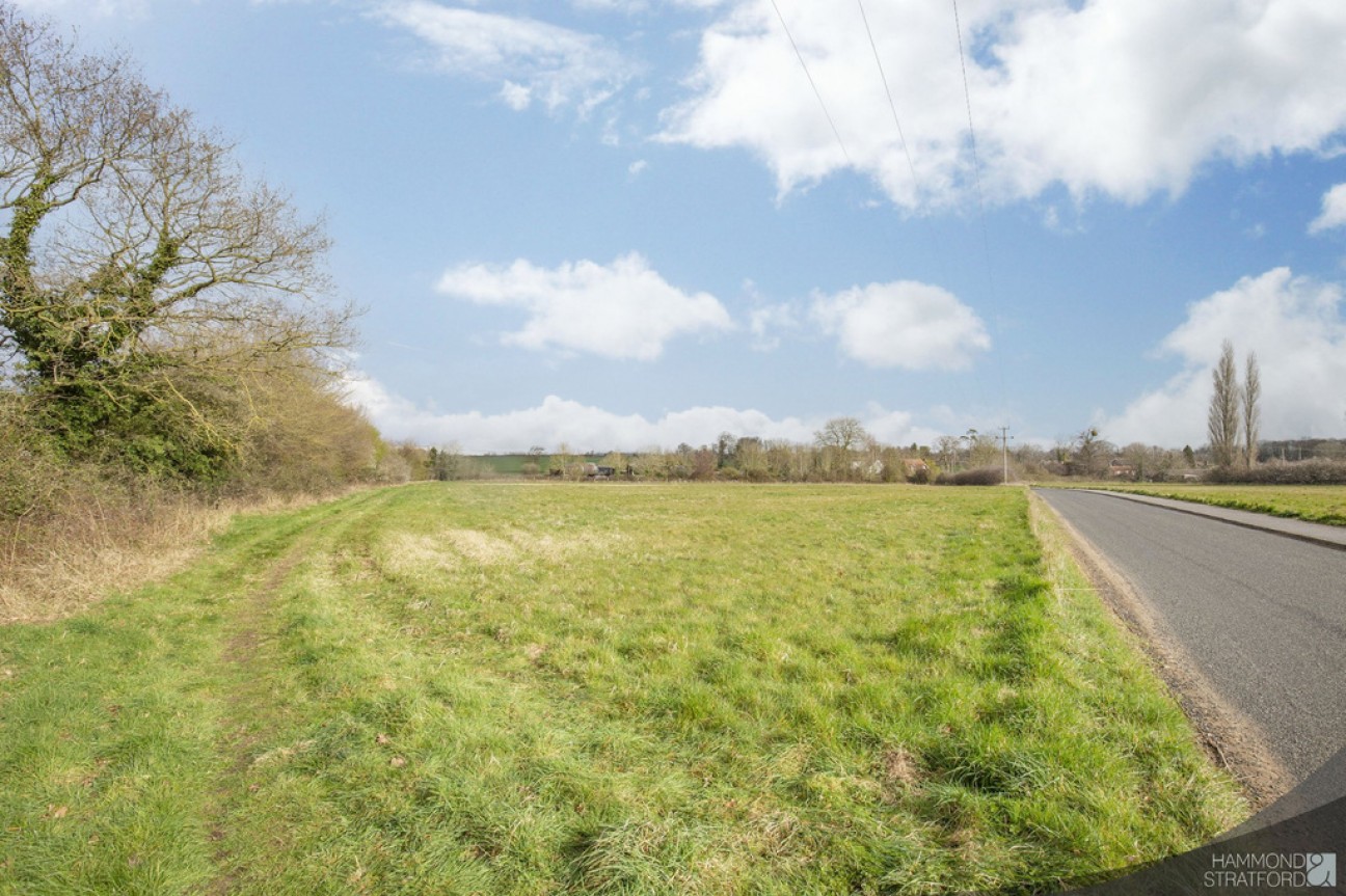 Pages Lane, Saham Toney
