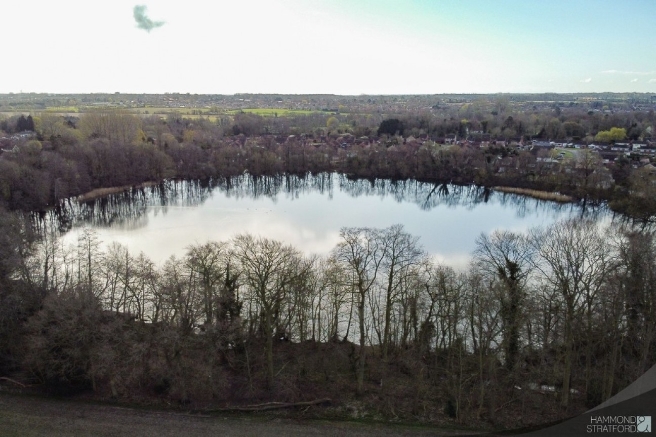 Pages Lane, Saham Toney