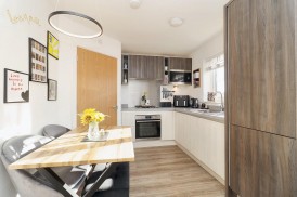 Plough Crescent, Summerville Village, Stockton-On-Tees, TS19 8GZ