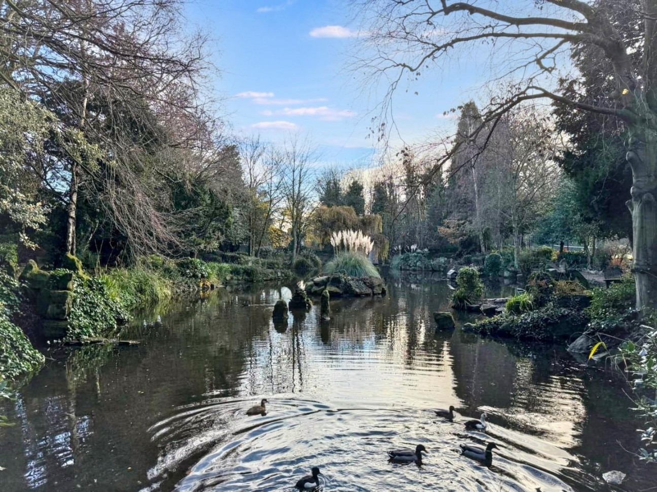 Sheraton House, Blandford Close, Norton, Stockton-On-Tees, TS20 1GB