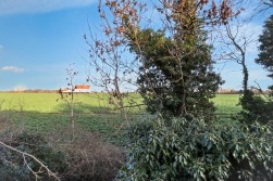 Buckthorn Crescent, The Elms, Stockton-On-Tees, TS21 3LD