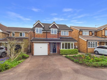 Carters Ride, Stoke Mandeville