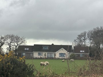 Colyton Hill, Colyton