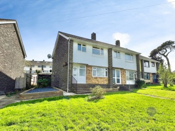 Woodbury Park, Axminster