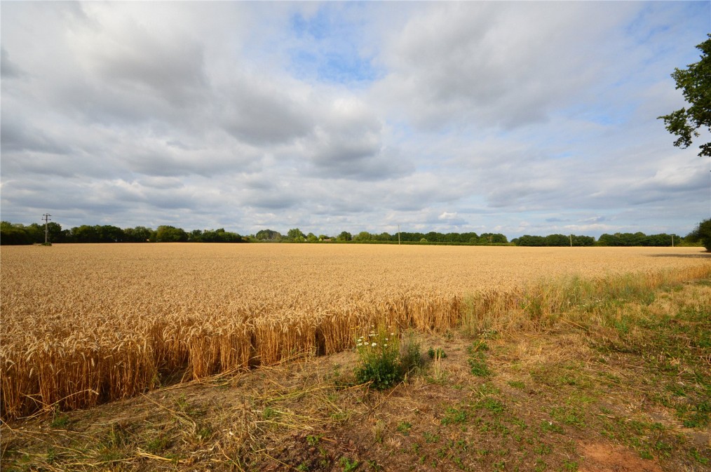 Little Maplestead, Halstead, Essex