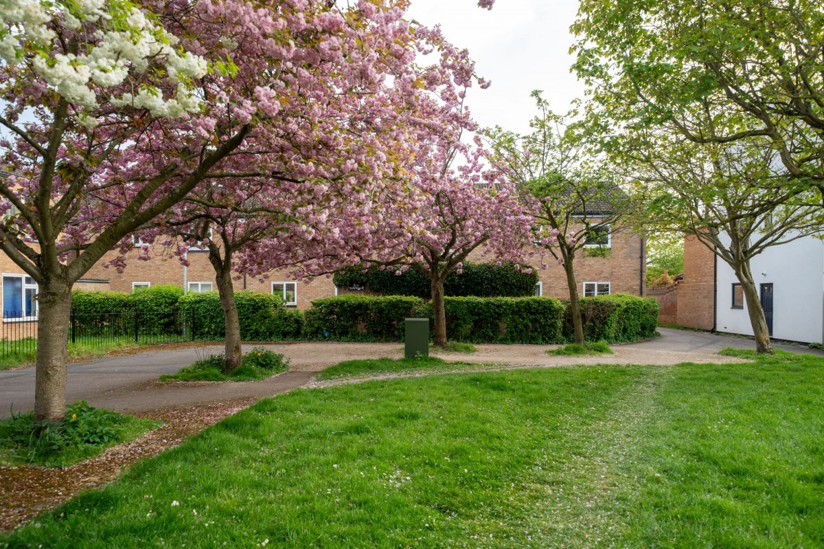 Trevone Place, Cambridge, CB1