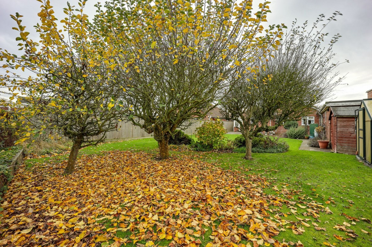 St. Pauls Road North, Walton Highway, PE14