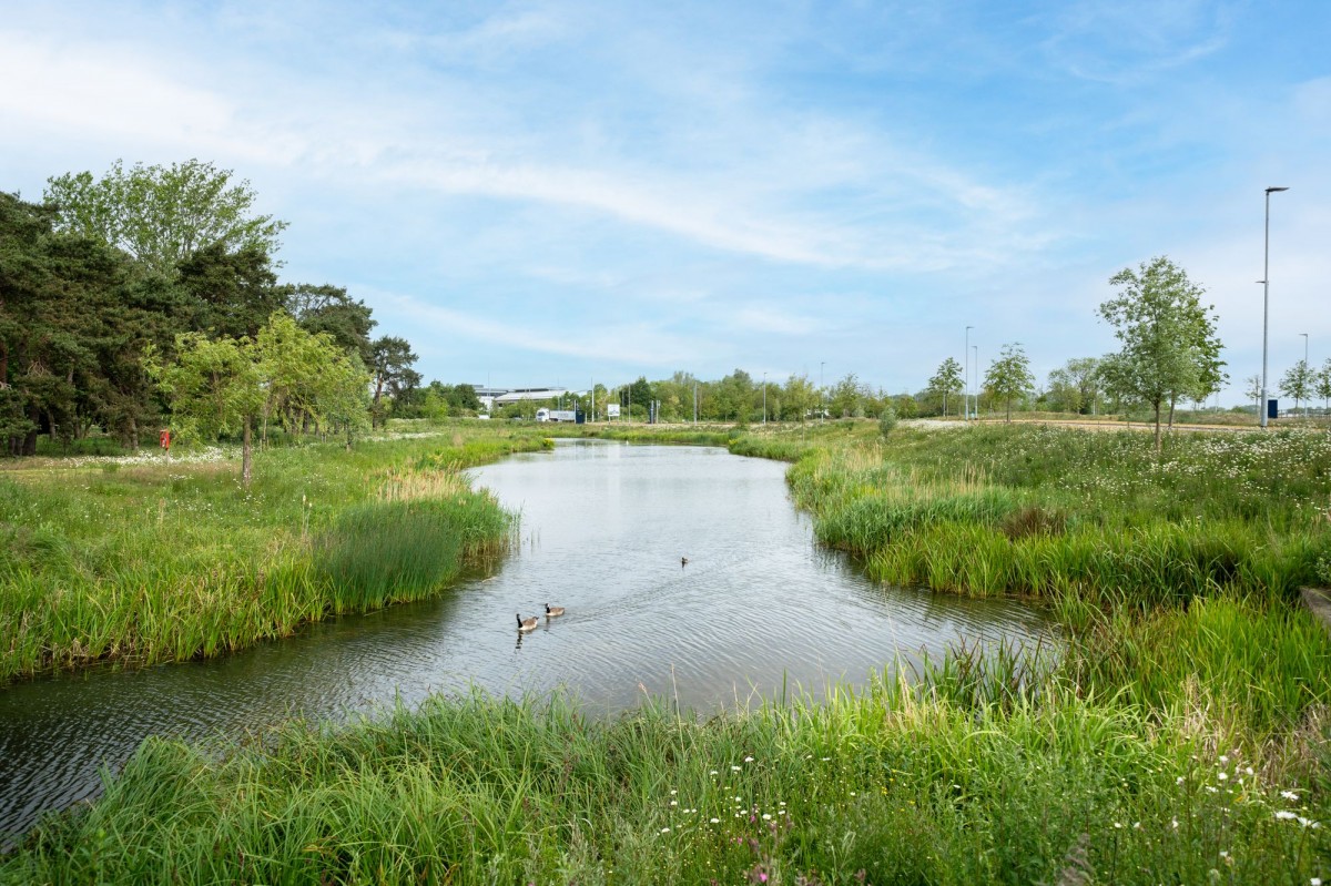 Gillyflower Lane, Waterbeach, CB25