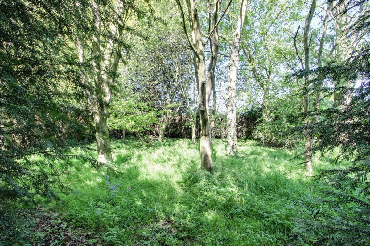Main Road, Parson Drove, PE13