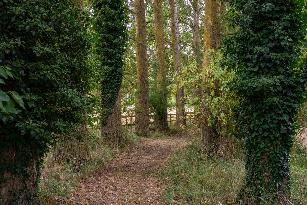 Horsley Hale, Littleport, CB6